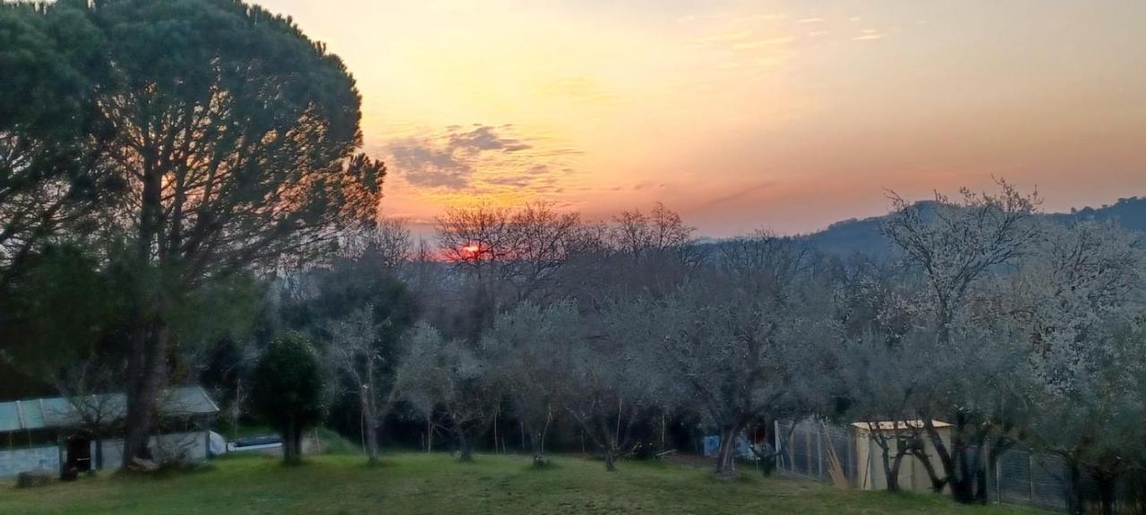 Il Casale Di Sandra Chiusi Eksteriør billede