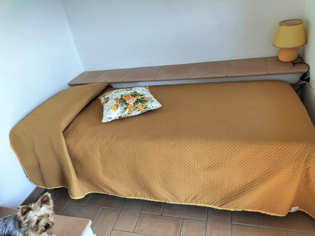 Il Casale Di Sandra Chiusi Eksteriør billede