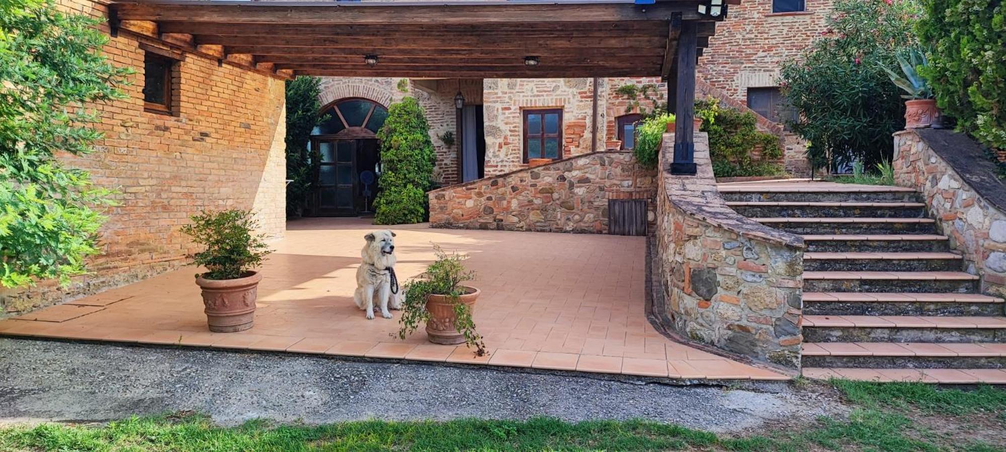 Il Casale Di Sandra Chiusi Eksteriør billede